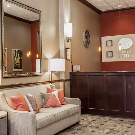 Comfort Suites Michigan Avenue Chicago Eksteriør billede