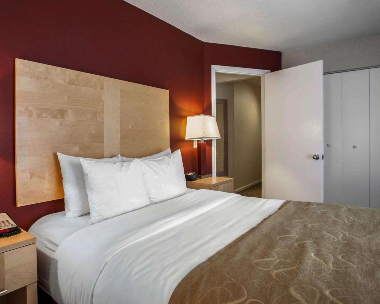 Comfort Suites Michigan Avenue Chicago Eksteriør billede
