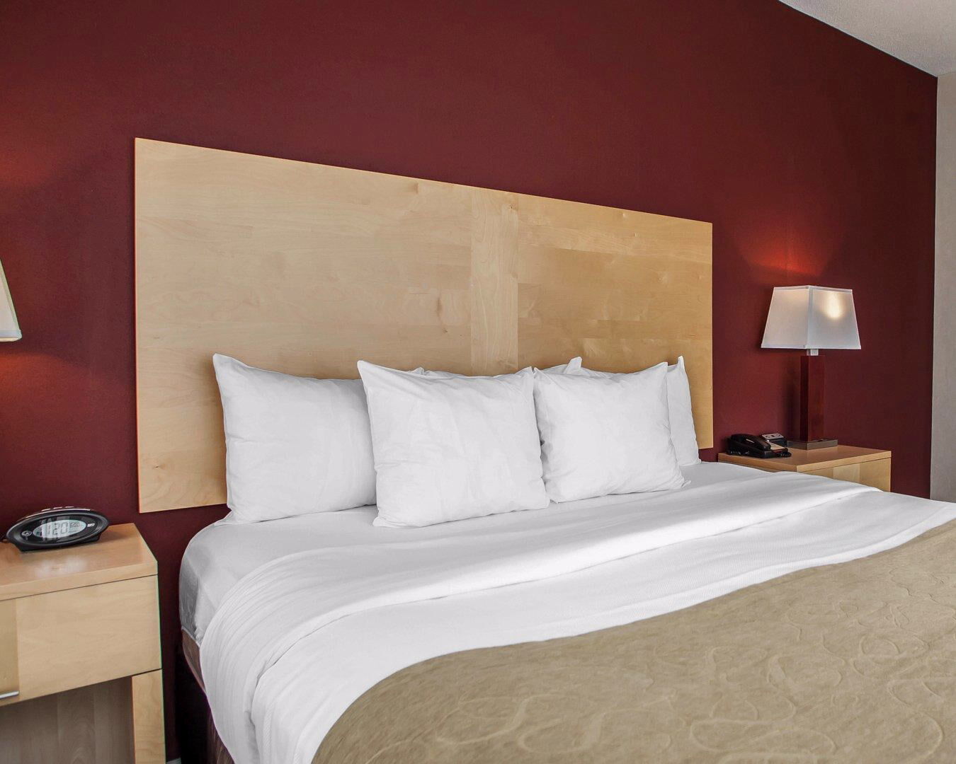 Comfort Suites Michigan Avenue Chicago Eksteriør billede